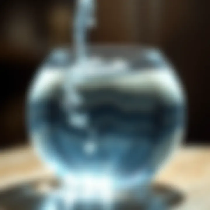 Aquarium filled with clear water after filter maintenance