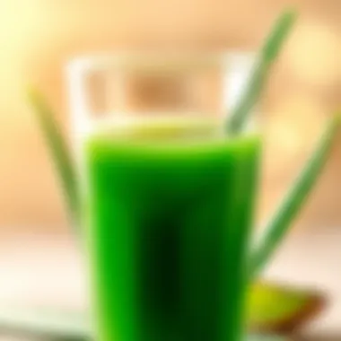 Close-up of aloe vera juice in a clear glass
