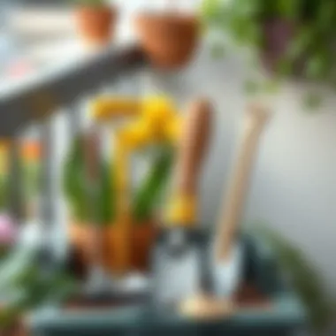 Gardening tools arranged neatly for balcony gardening
