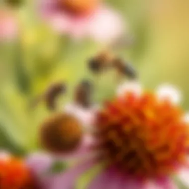 A close-up of a flower attracting pollinators