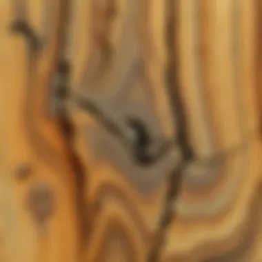 Stunning oak wood surface with natural patterns