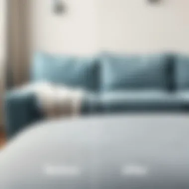 Before and after couch cleaning