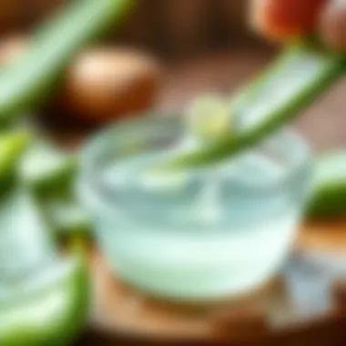 Extracting Aloe Vera Gel Close-up of Aloe Vera gel extraction