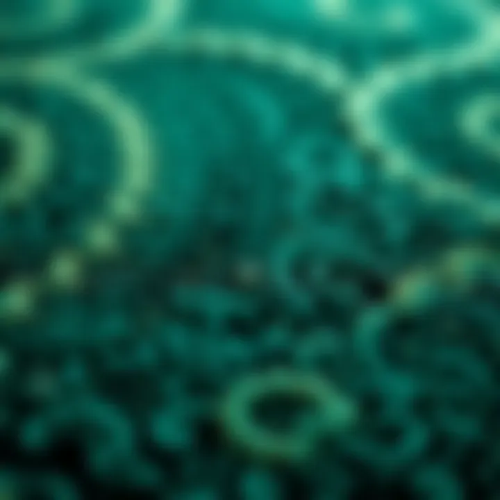 Close-up of the texture and design of an emerald green carpet