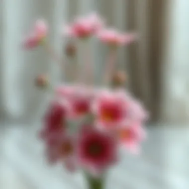 Innovative DIY Projects with Everlasting Flowers A beautifully crafted DIY project using everlasting flowers, demonstrating their versatility.