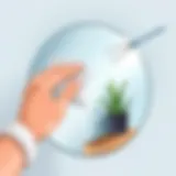 Crystal clear mirror after cleaning