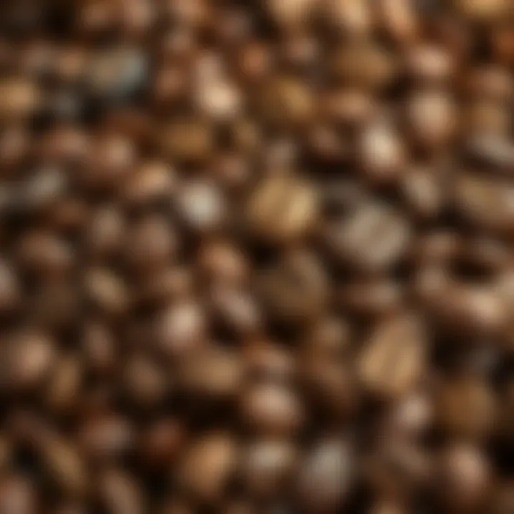 Close-up of coffee beans highlighting their natural color variations.