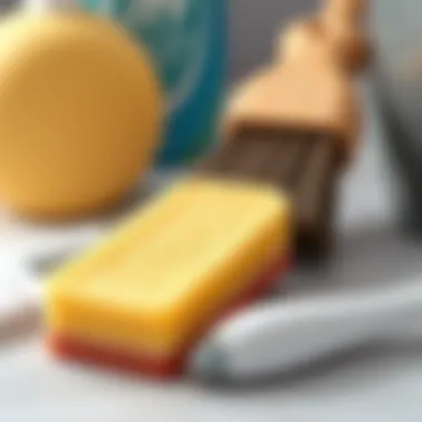 Essential Cleaning Tools Close-up of a sponge and brush for cleaning