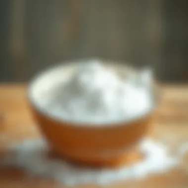 Sodium bicarbonate in a bowl ready for use