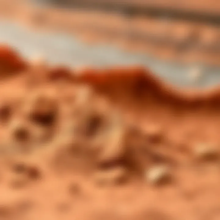 A vibrant artistic interpretation of the color palette inspired by clay soil