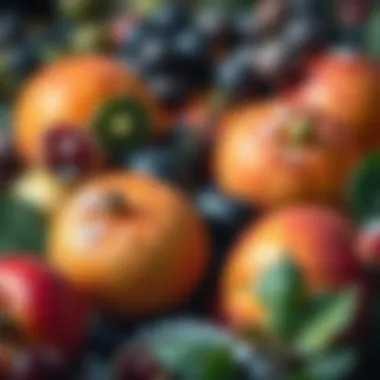 Freshly harvested winter fruits