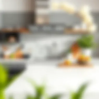 Elegant kitchen countertop arrangement demonstrating efficiency and style