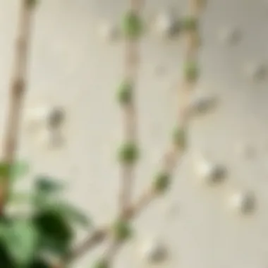 A beautifully painted wall showcasing texture