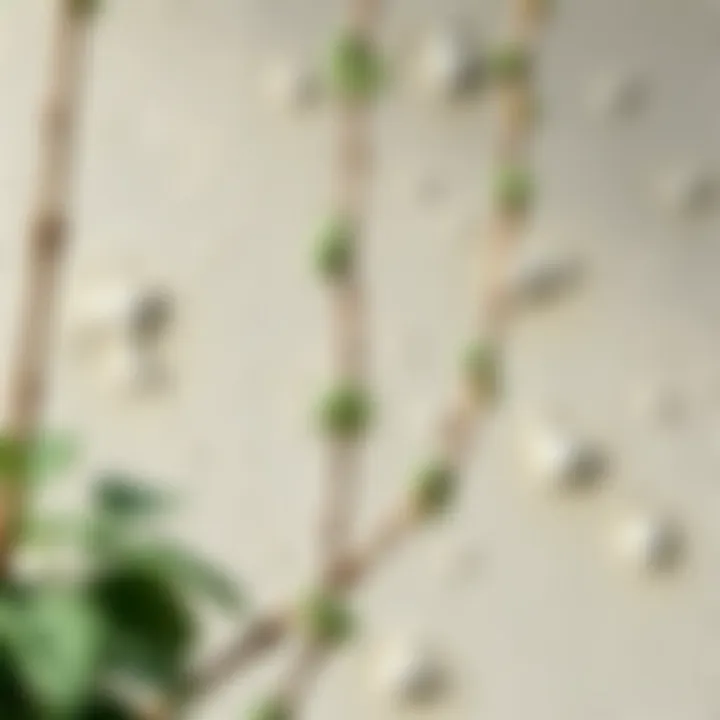 A beautifully painted wall showcasing texture