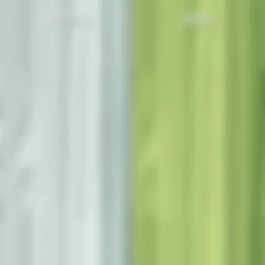 Transformative Effects of Laminate Painting Before and after transformation of a laminate surface