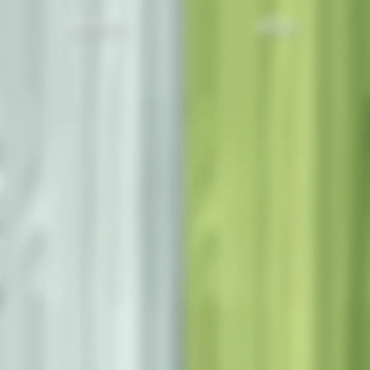 Transformative Effects of Laminate Painting Before and after transformation of a laminate surface