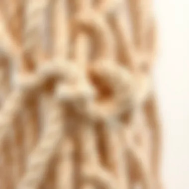 Detailed view of intricate macrame knotting Close-up of macrame cord textures and knots
