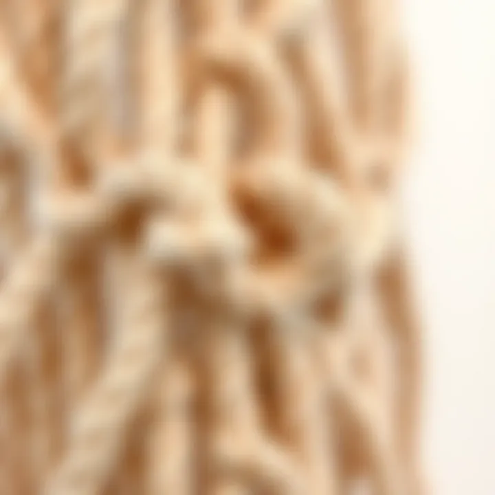Detailed view of intricate macrame knotting Close-up of macrame cord textures and knots