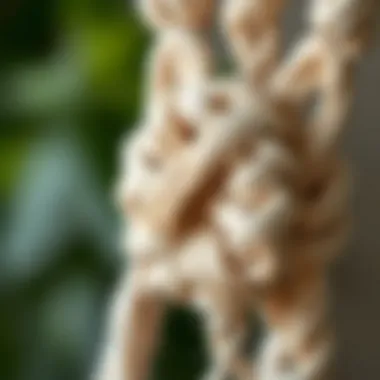 A close-up of a detailed macrame knot, demonstrating the artistry involved in the technique.