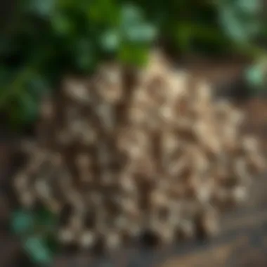 A variety of parsley seeds on a wooden surface