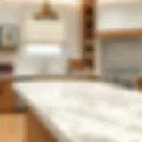 Elegant Transformation of Marble Beautifully painted marble countertop