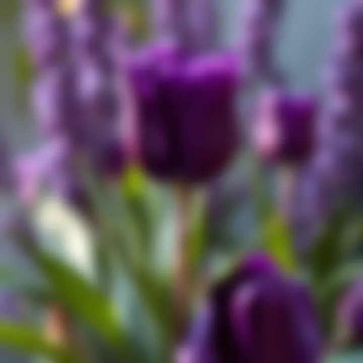 Purple in Modern Fashion An artistic representation of purple in modern fashion