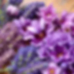 A vibrant palette of purple hues showcasing various techniques for craft projects