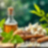 Natural ingredients to eliminate odors