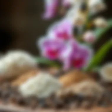 Different types of soil materials suitable for orchids.