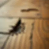 Close-up of scratched wooden flooring