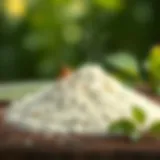 Natural pest control solution