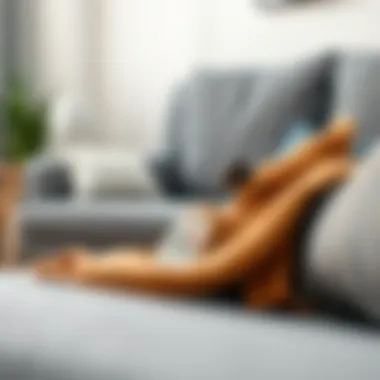 Effective Sofa Care Techniques Proper techniques for sofa maintenance