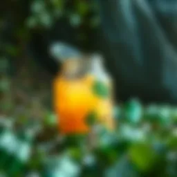 Innovative recycling ideas using plastic waste