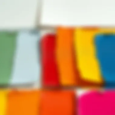 Various paint swatches demonstrating different color schemes