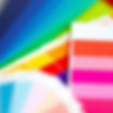 A vibrant color palette showcasing various hues and shades