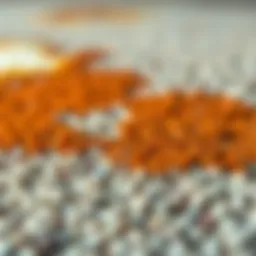 Close-up of a rust stain on a carpet