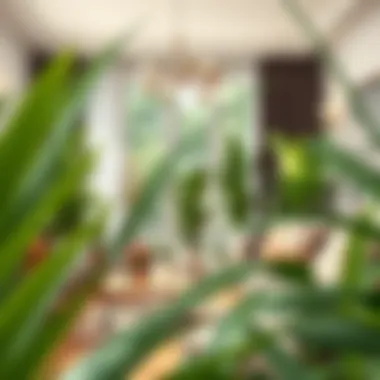 An elegant living room adorned with carefully placed potted plants.