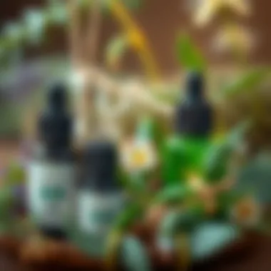 Essential Oils for Mosquito Repellence A close-up of essential oils known to repel mosquitoes