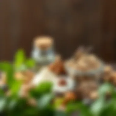 A set of natural ingredients known for their mosquito-repelling properties