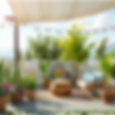 A tranquil outdoor space free of mosquitoes utilizing natural barriers