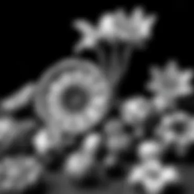 Black and White in Graphic Design Graphic design showcasing the interplay of black and white elements.