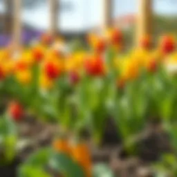 Vibrant spring vegetables in a garden bed