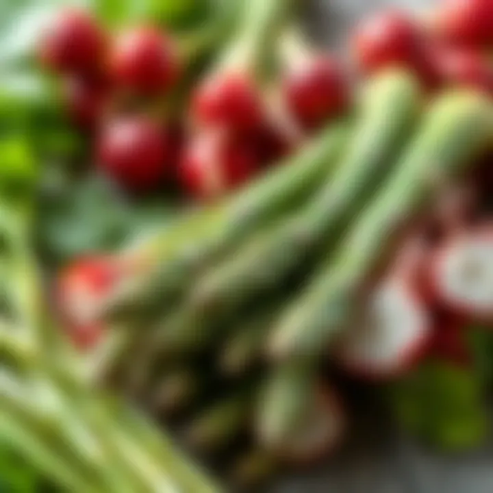Fresh Spring Vegetables Freshly harvested spring vegetables including asparagus and radishes.