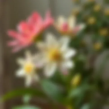 Symbolic representation of multi-petaled flowers in home decor