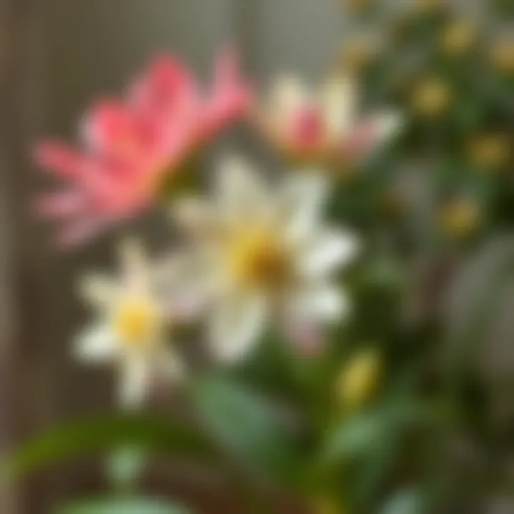 Symbolic representation of multi-petaled flowers in home decor