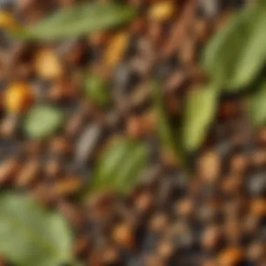 Different types of tea leaves arranged aesthetically, highlighting their unique characteristics.