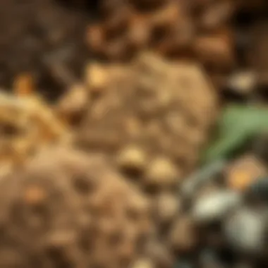 Close-up view of different soil types showcasing their unique hues
