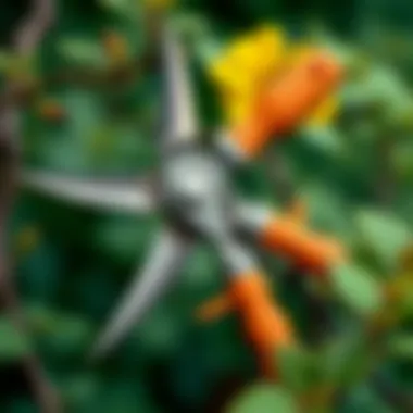 Pruning tools for Yuka flower care